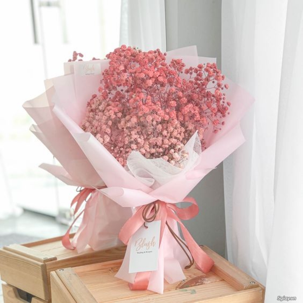 Top 5 loài hoa đẹp được giới trẻ yêu thích nhất hiện nay - 2