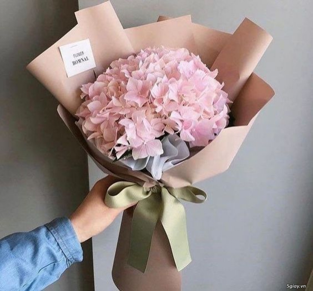 Top 5 loài hoa đẹp được giới trẻ yêu thích nhất hiện nay - 3
