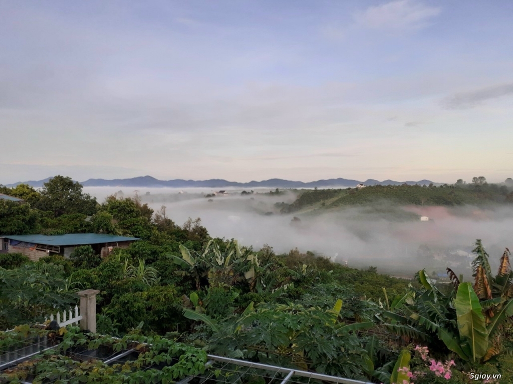 Bán nhà vườn mặt tiền Trần Nhật Duật, Đambri, TP.Bảo Lộc, Lâm Đồng - 11