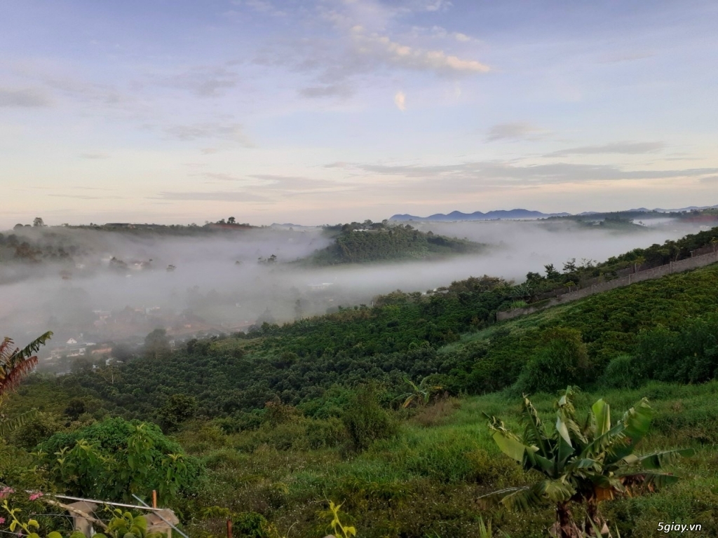 Bán nhà vườn mặt tiền Trần Nhật Duật, Đambri, TP.Bảo Lộc, Lâm Đồng - 10