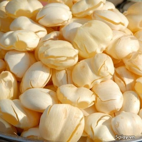Nước thốt nốt tươi khai thác như thế nào? - 2