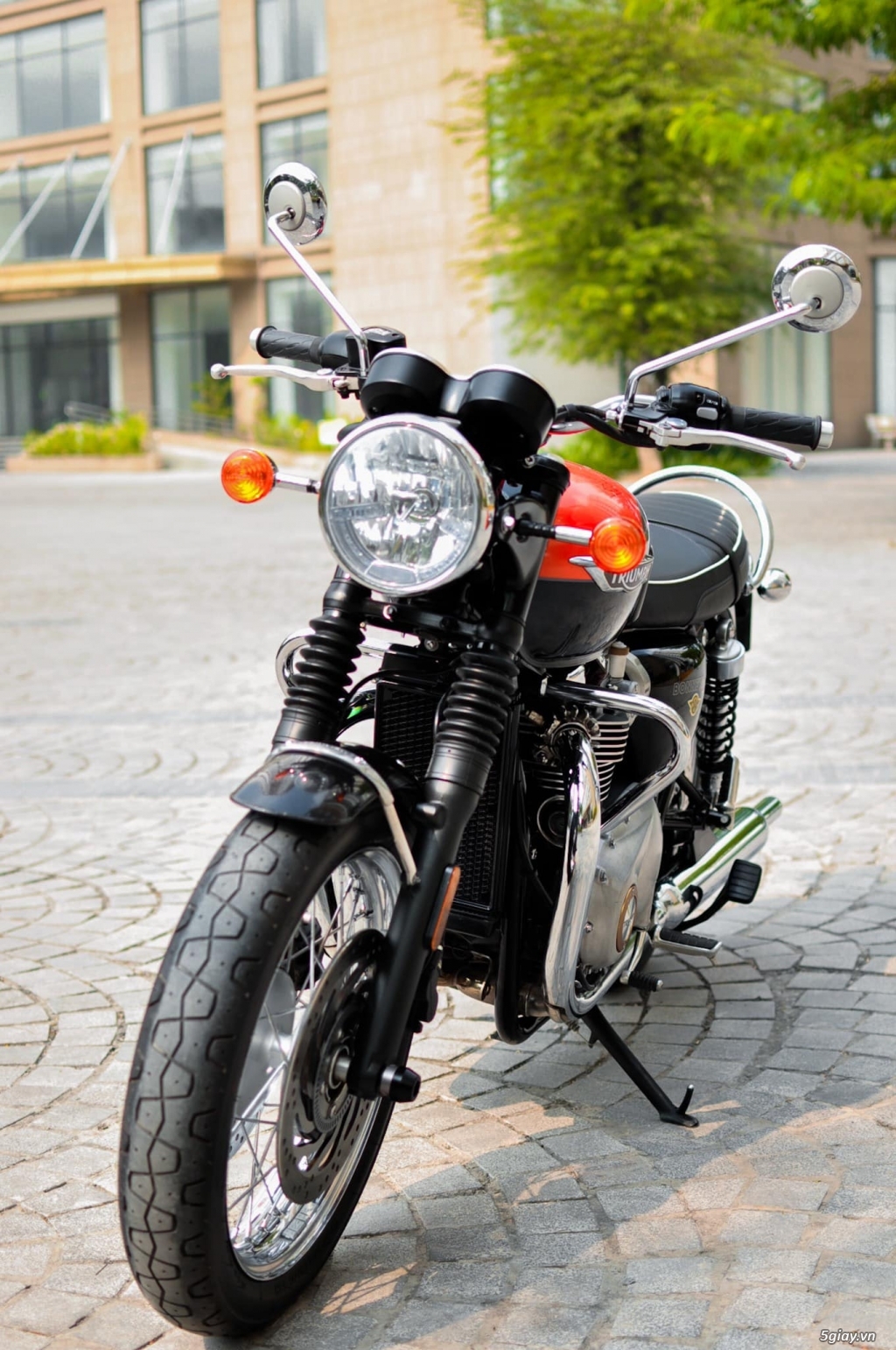 Triumph Bonneville T120 2021 Zin Keng Đẹp - 2