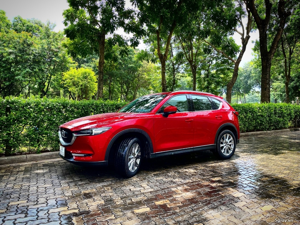 Xe tự lái giá tốt TPHCM, hỗ trợ giao xe tận nơi miễn phí - 3