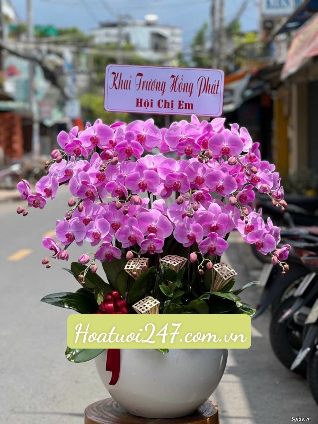 Shop hoa tươi chuyên bán hoa lan hồ điệp cao cấp hàng đầu Sài Gòn - 12