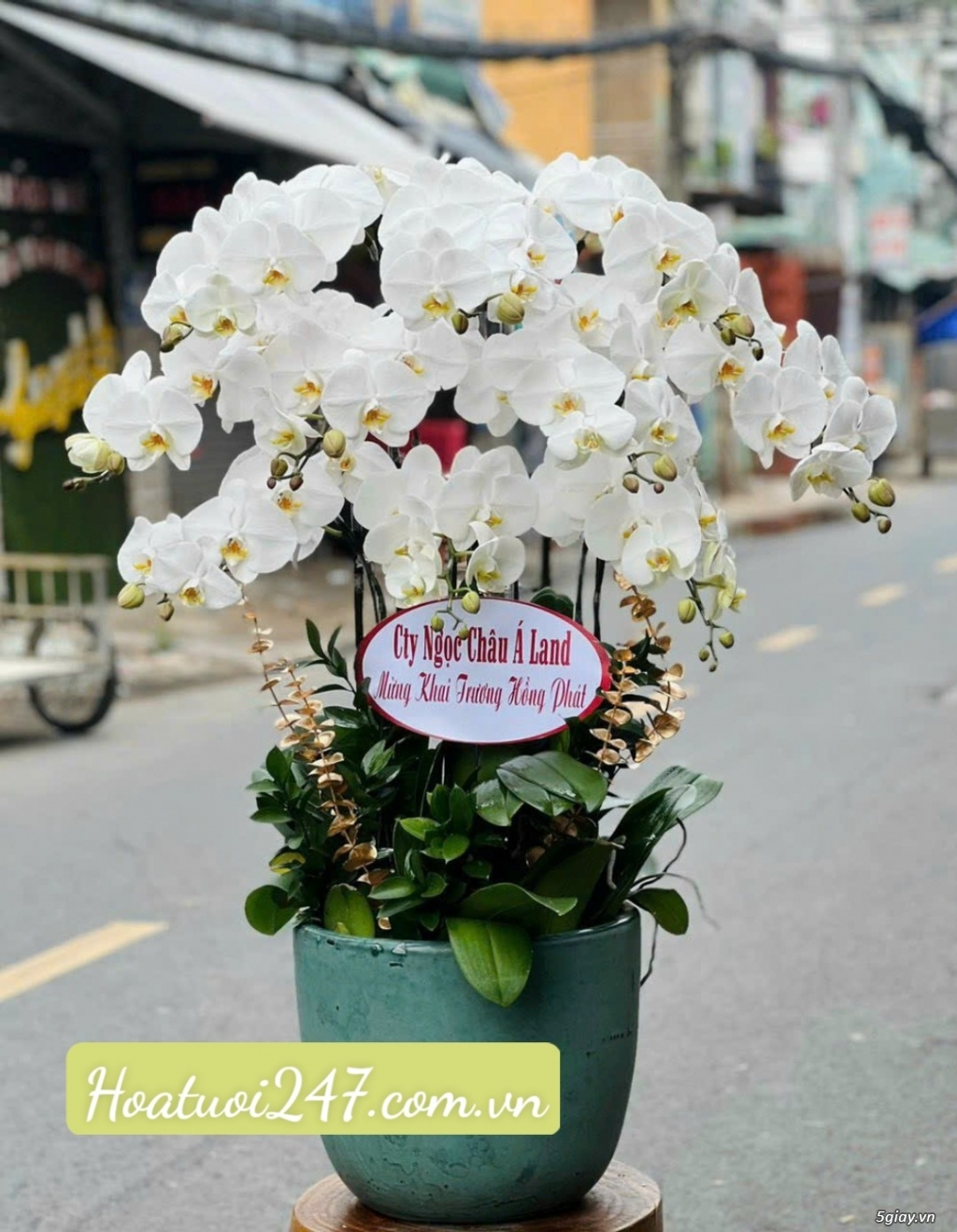 Shop hoa tươi chuyên bán hoa lan hồ điệp cao cấp hàng đầu Sài Gòn - 11
