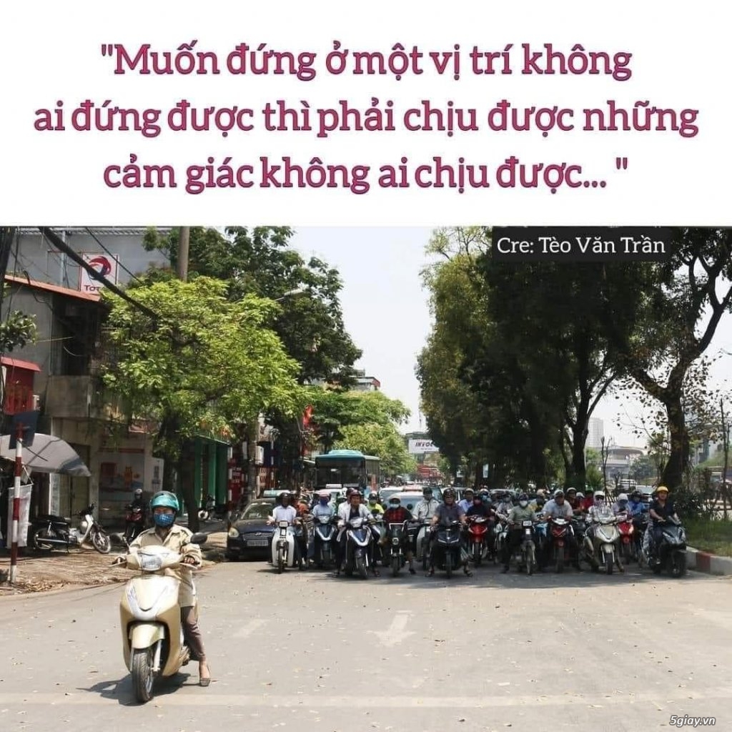 Hình hài hước... Nhiều thể loại vui nhôn