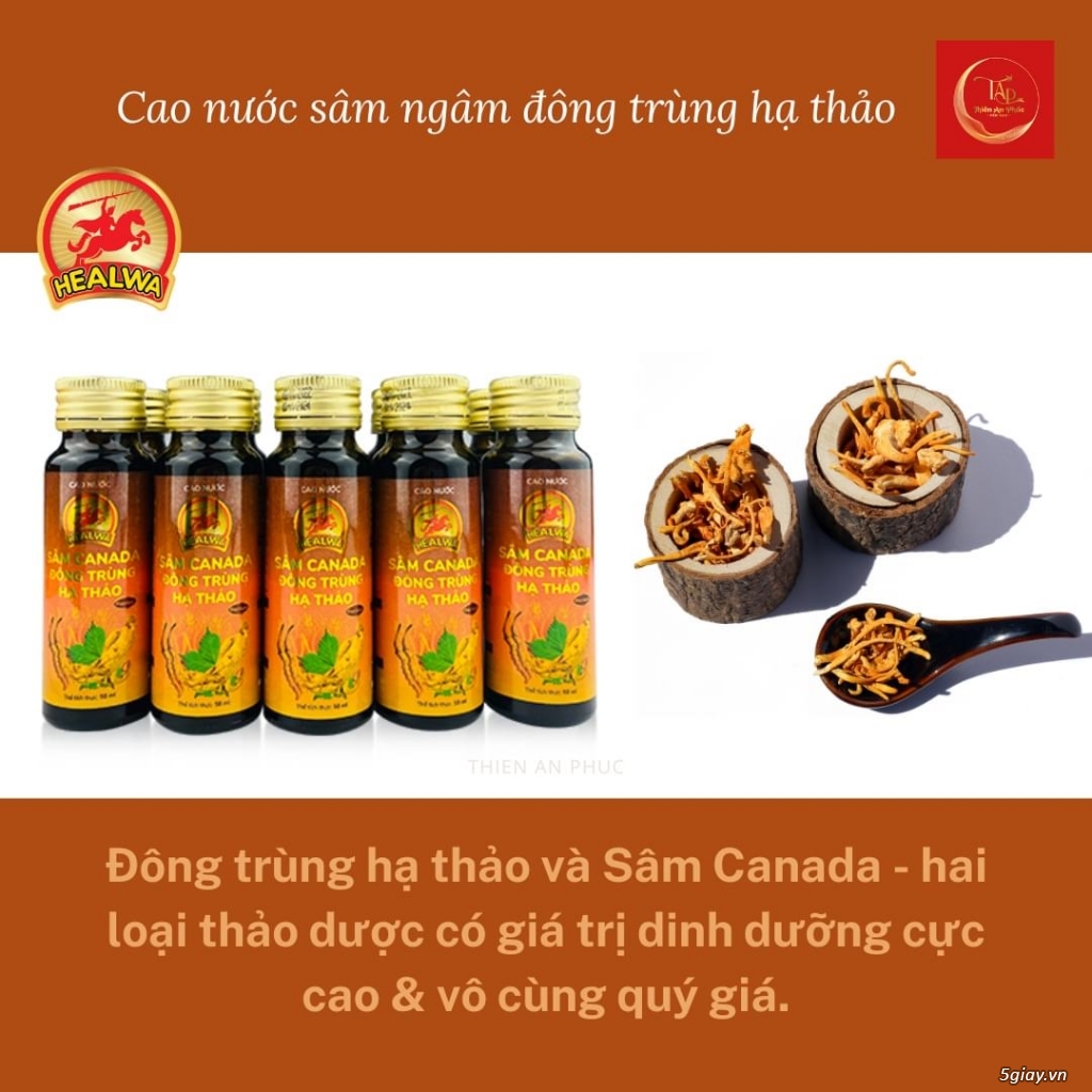 Bán Cao nước sâm Canada Đông trùng hạ thảo cho người suy nhược ở HCM - 4