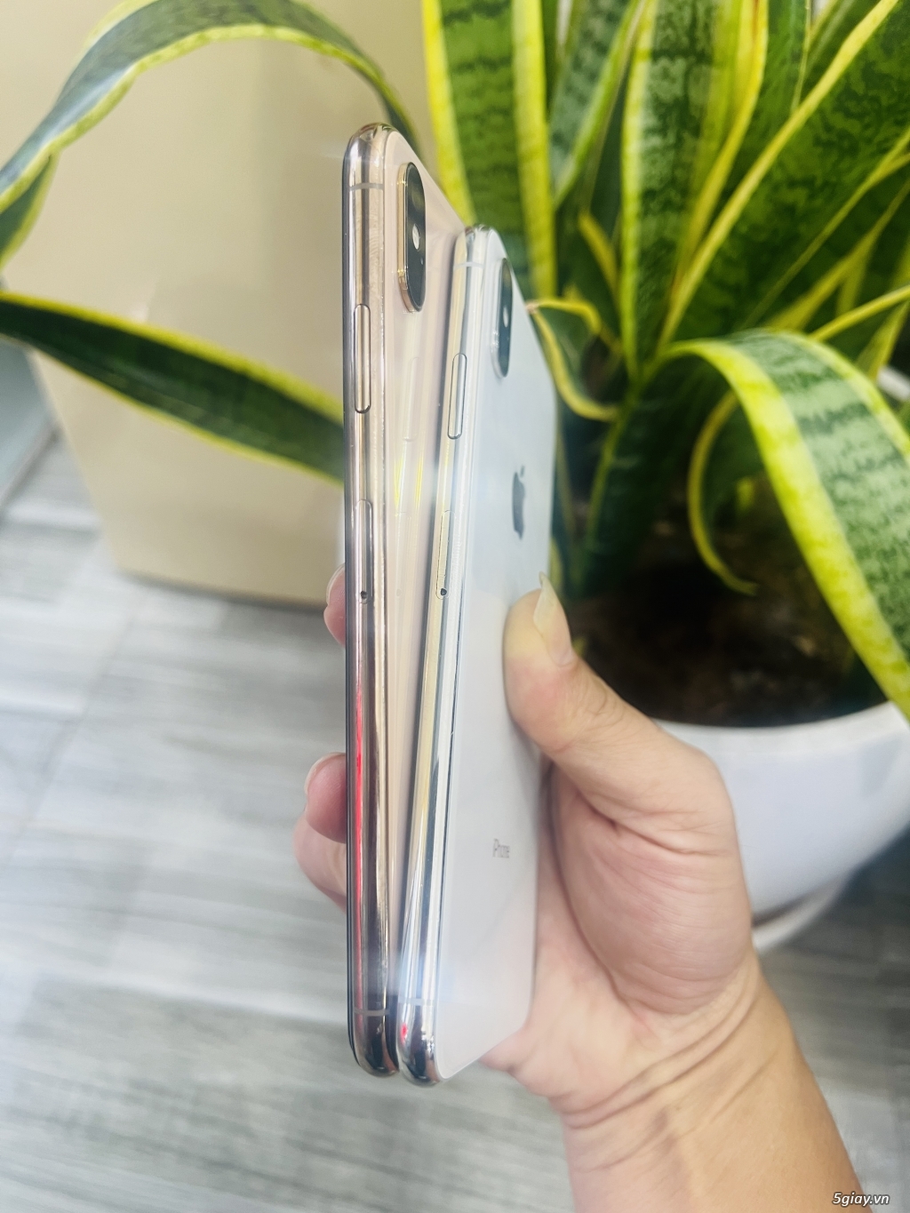 iPhone Xsmax 256G Gold & Silver - 3