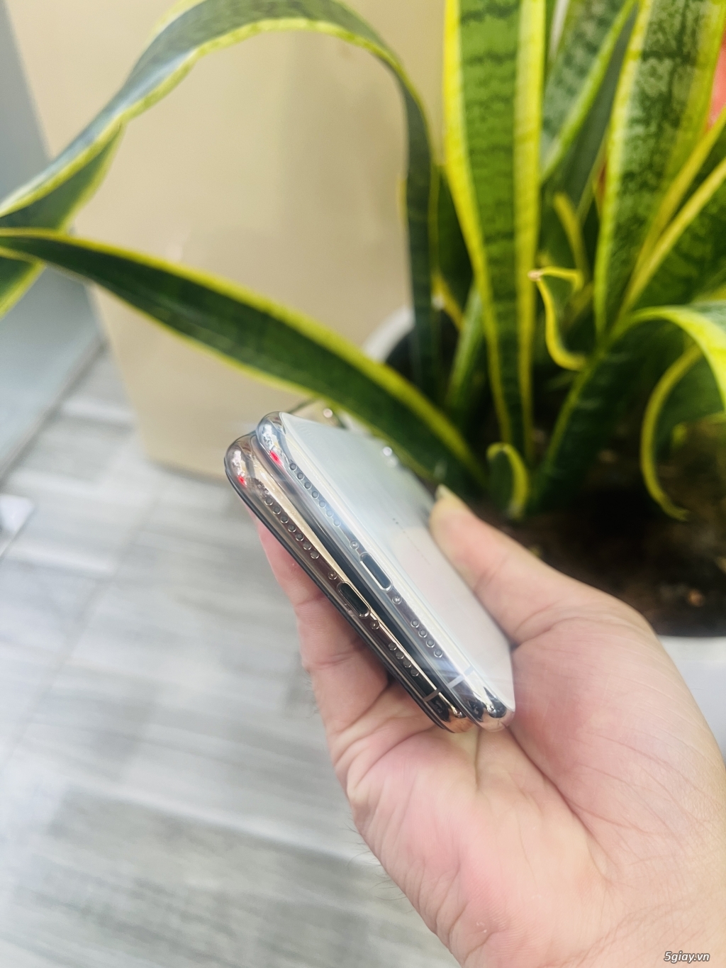 iPhone Xsmax 256G Gold & Silver