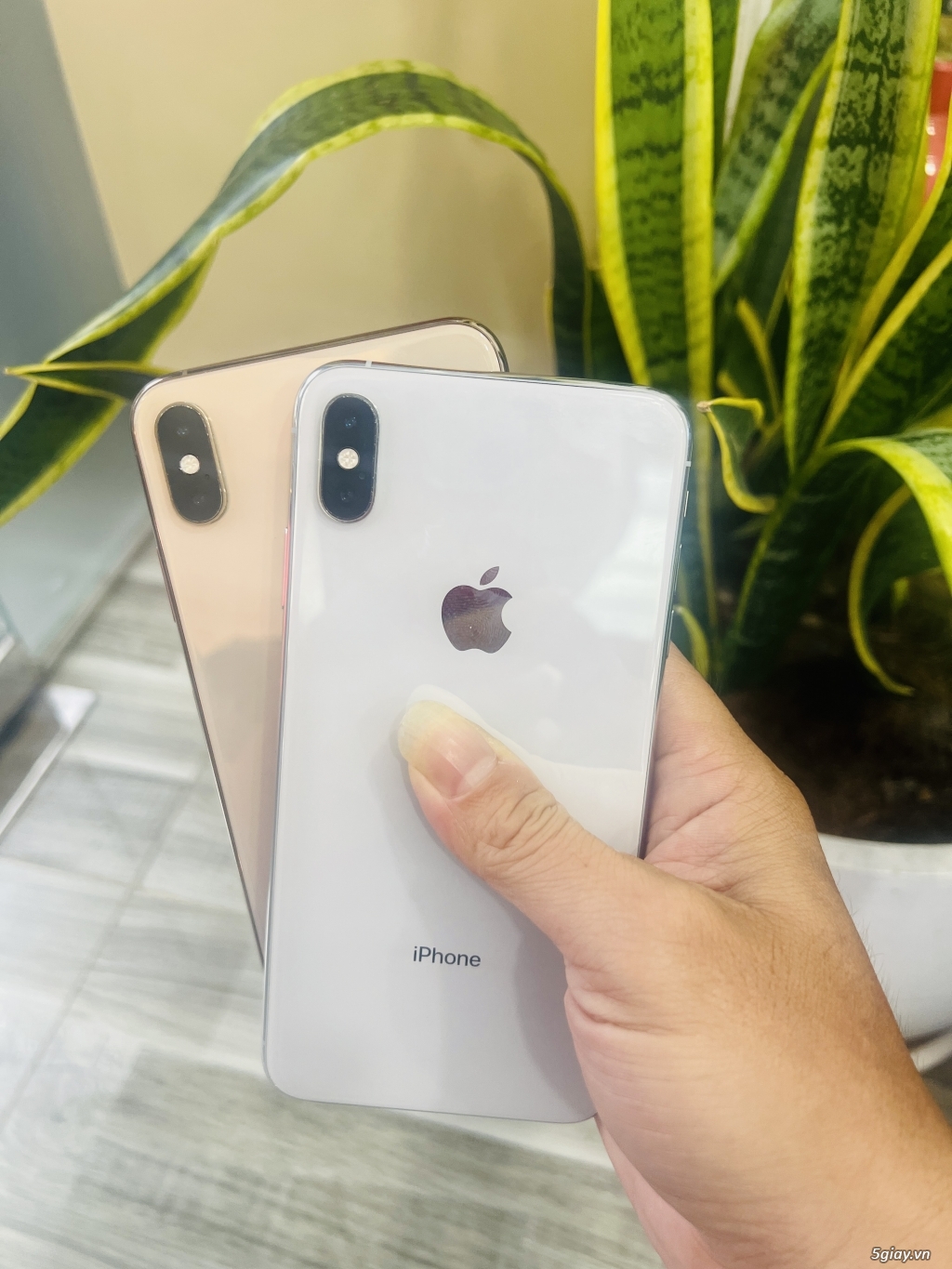 iPhone Xsmax 256G Gold & Silver - 2