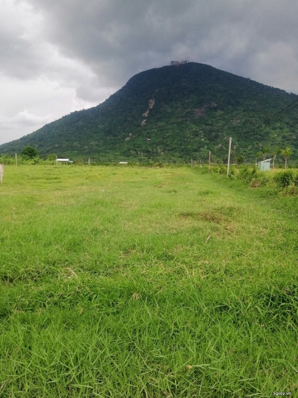 Bán gấp lô đất đường Suối Đá, X.Suối Đá, H.Dương Minh Châu, Tây Ninh - 11