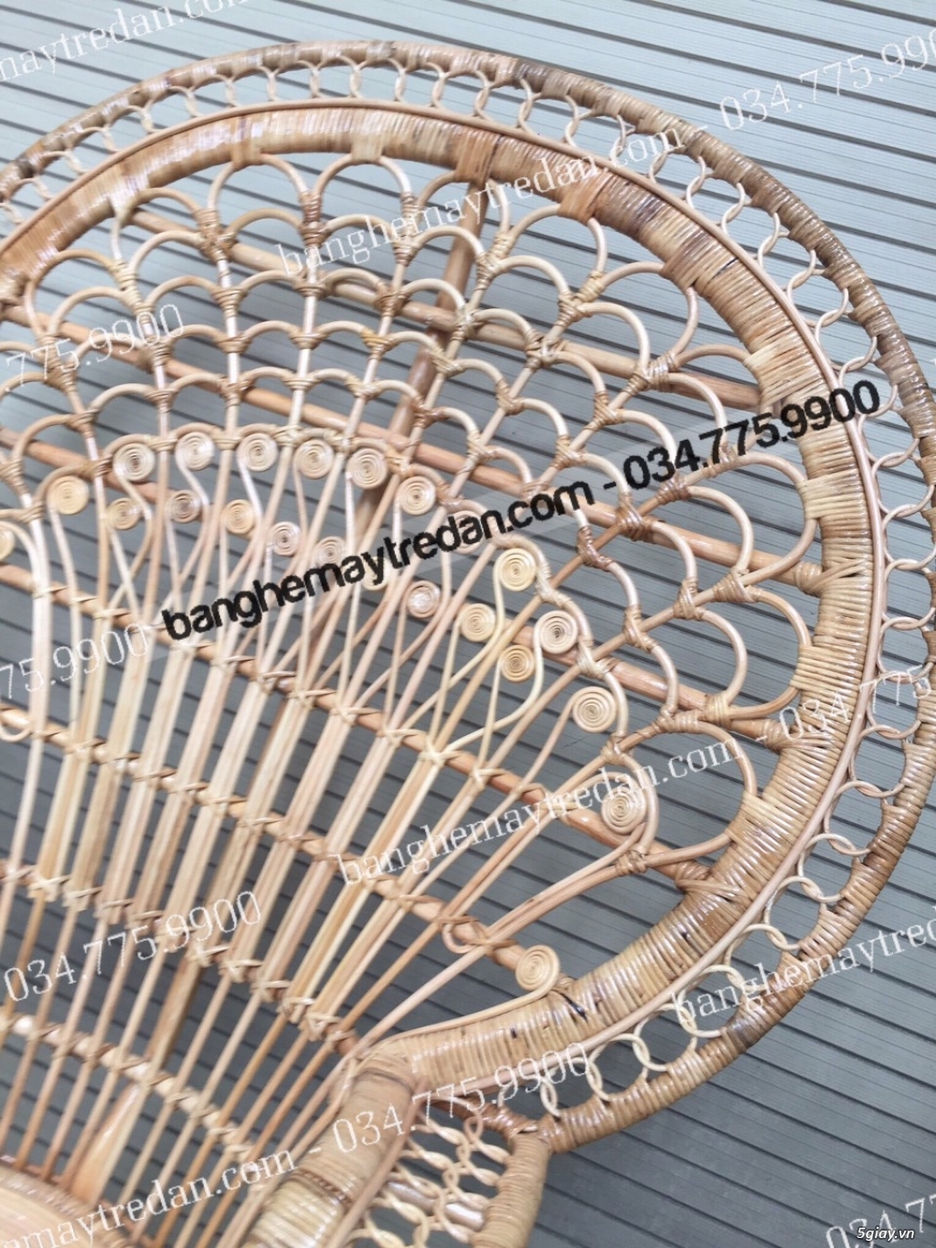 Ghế mây đuôi công chụp hình studio - 3