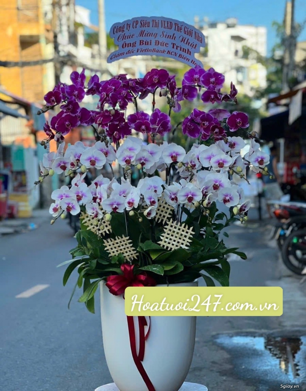 Shop hoa lan hồ điệp cao cấp giá rẻ chất lượng hàng đầu tại tphcm - 1