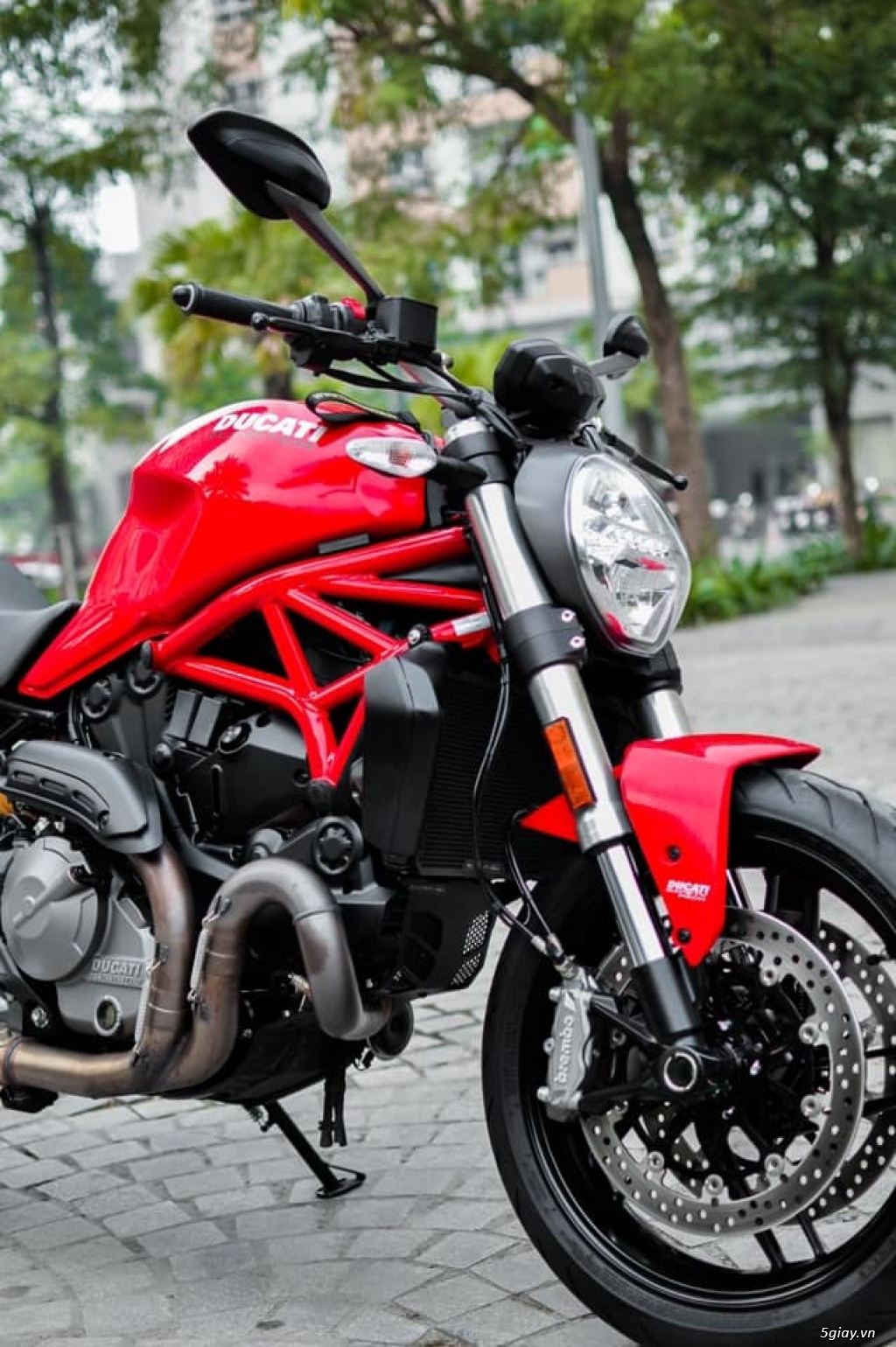Ducati Monster 821 2021 Chính Hãng New 100% - 8