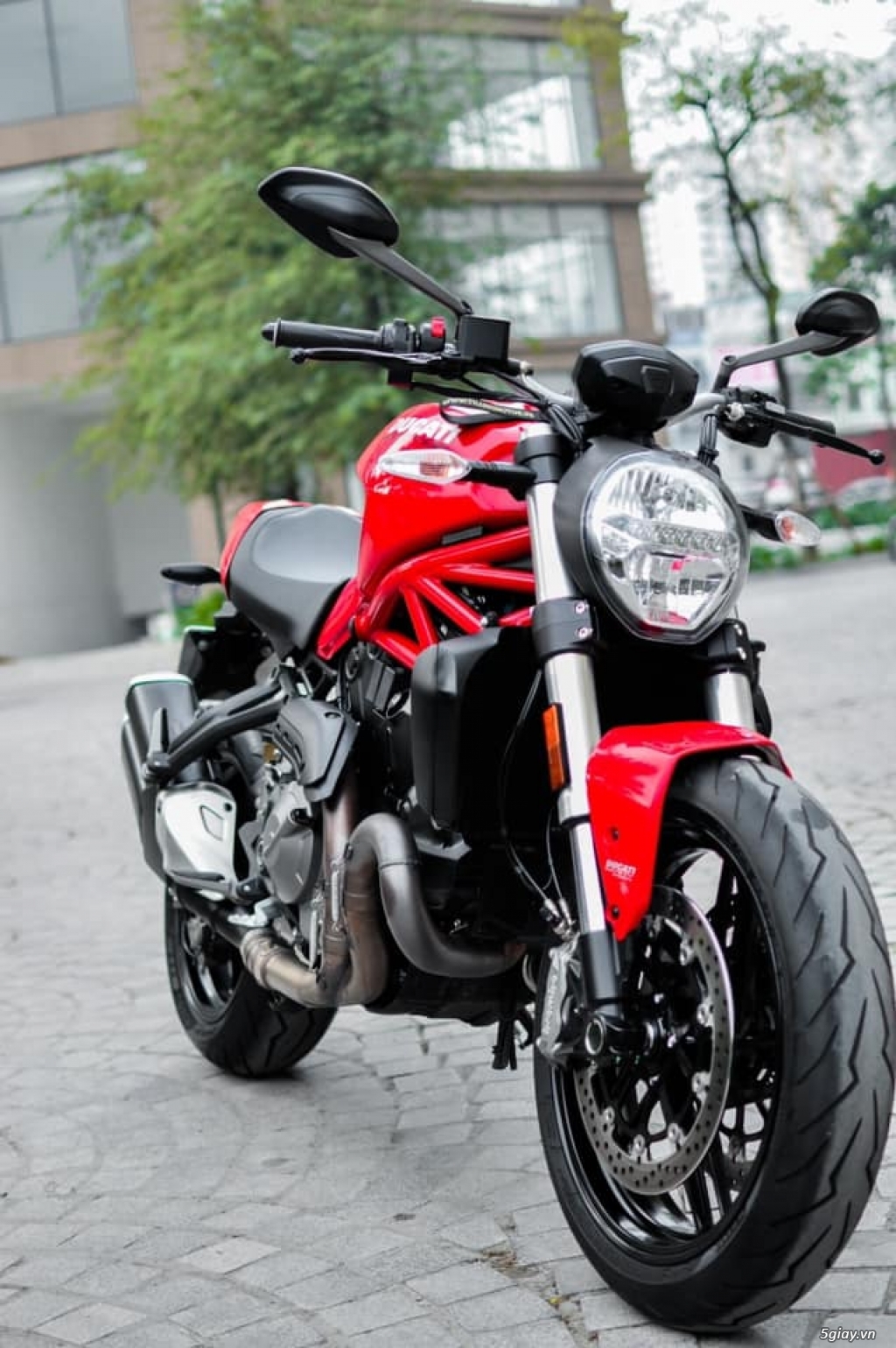 Ducati Monster 821 2021 Chính Hãng New 100% - 2