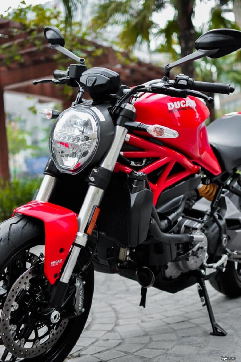 Ducati Monster 821 2021 Chính Hãng New 100% - 10