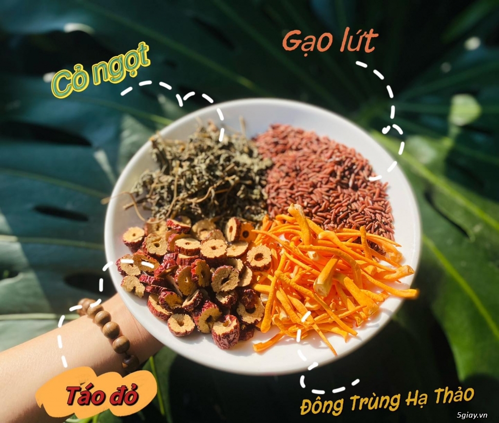 Trà đông trùng tứ vị - 1