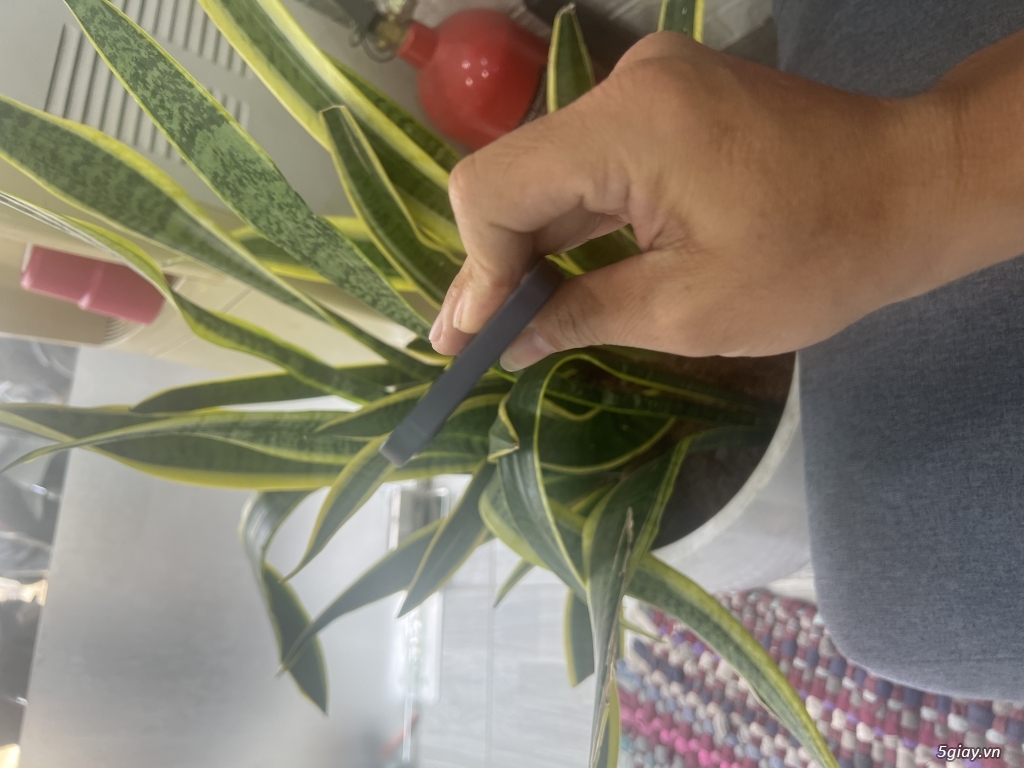 iPhone 12 Mini 64G Black - 3