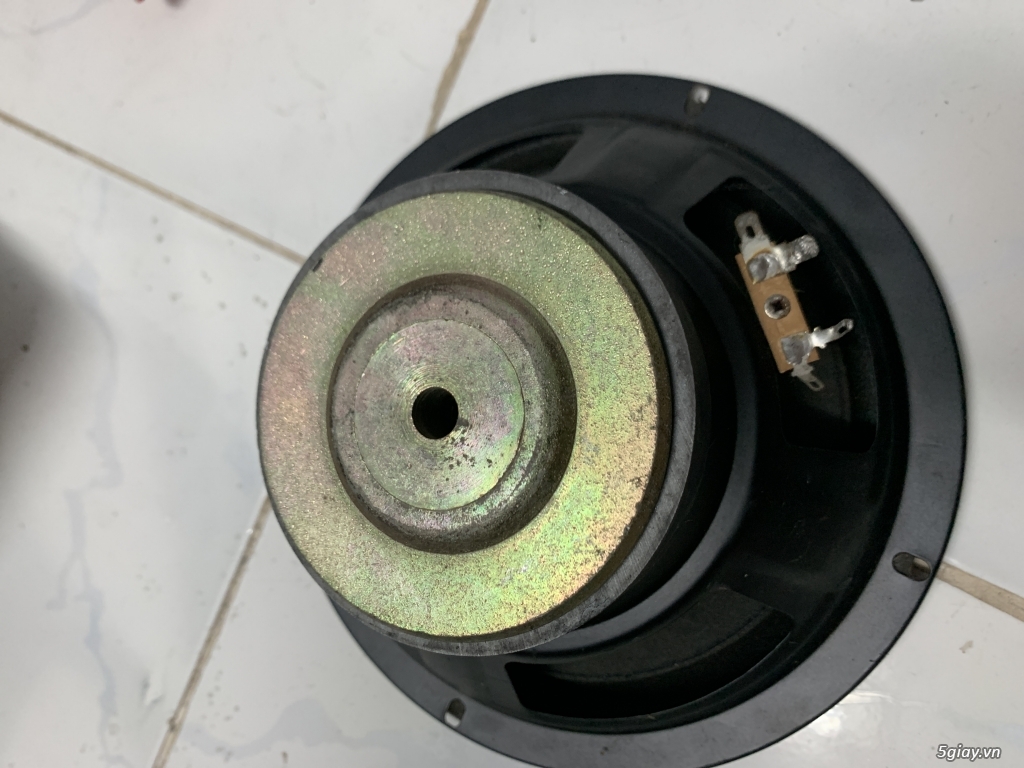 Củ loa bãi xịn giá hạt dẻ - 20