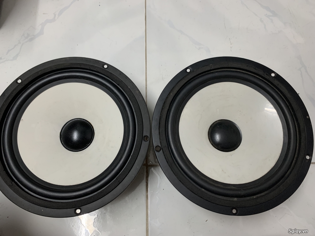 Củ loa bãi xịn giá hạt dẻ - 8