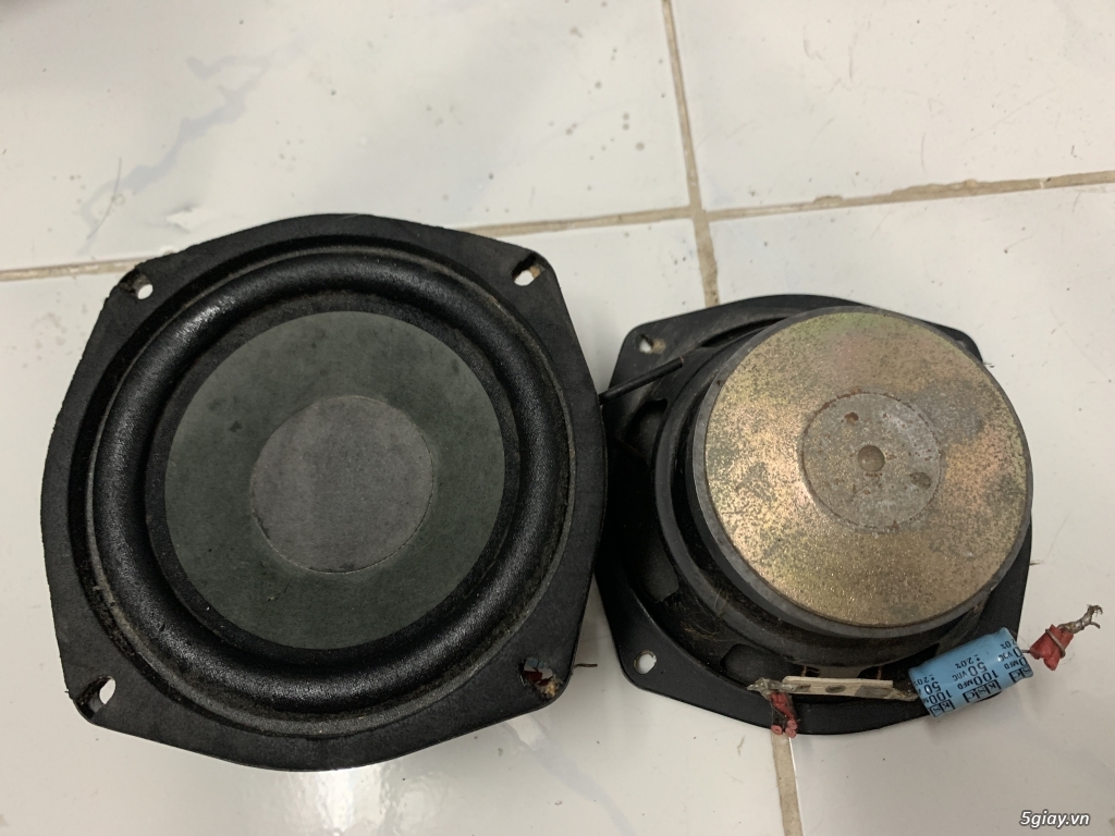 Củ loa bãi xịn giá hạt dẻ - 18