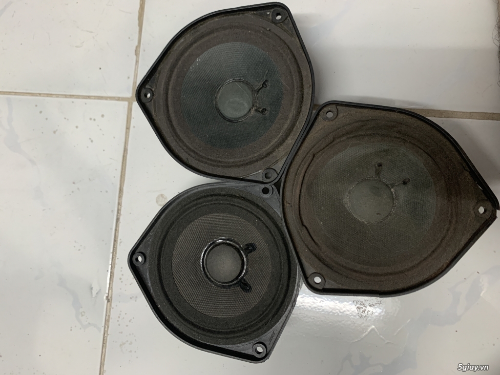 Củ loa bãi xịn giá hạt dẻ - 16