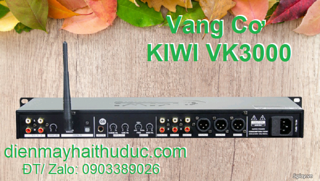 Vang cơ lai số KIwi VK3000 hàng đẳng cấp Pro chính hãng KIWI - 3