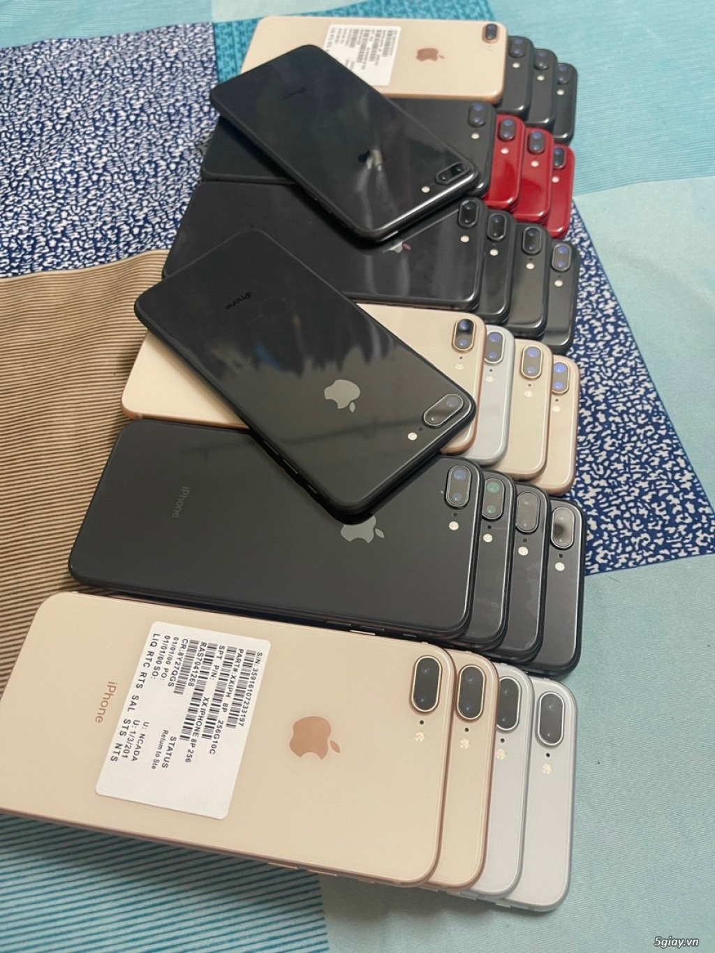 iPhone Chất giá sỉ HCM - Cập nhật liên tục.