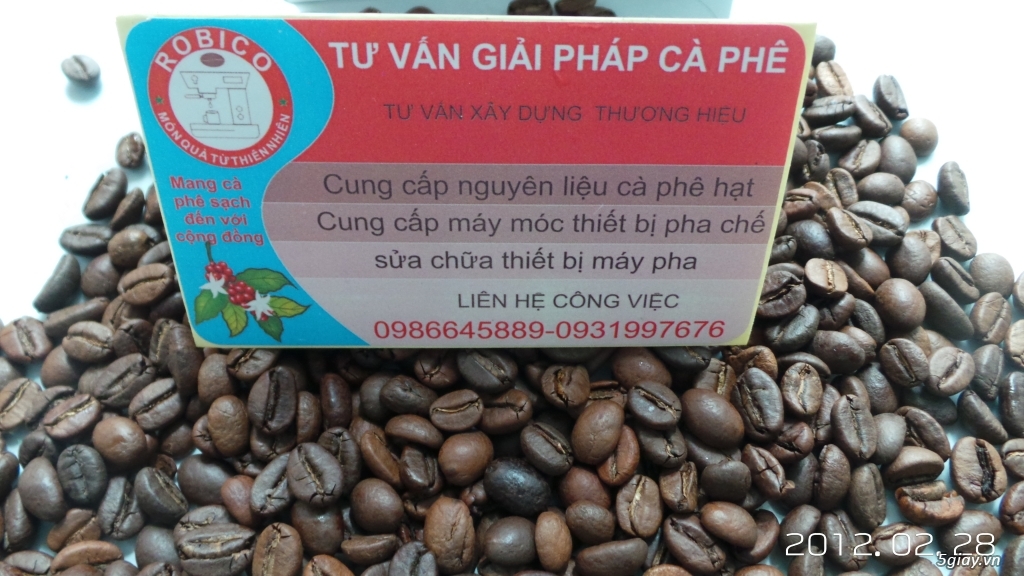 Cà phê hạt nguyên chất 70% Robusta 30% Arabica mức rang rang medium