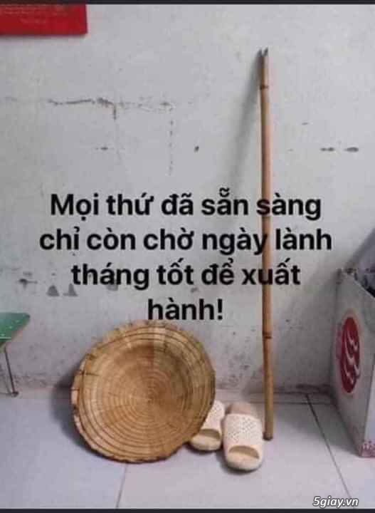 Hình hài hước... Nhiều thể loại vui nhôn - 2
