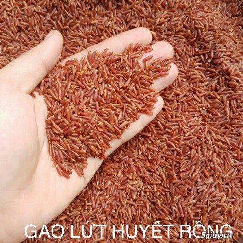 Ngũ Cốc, Yến Mạch, Gạo Lứt - 18