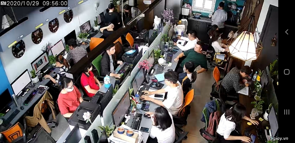 PARIS LOGISTICS - Thủ tục hải quan - 1