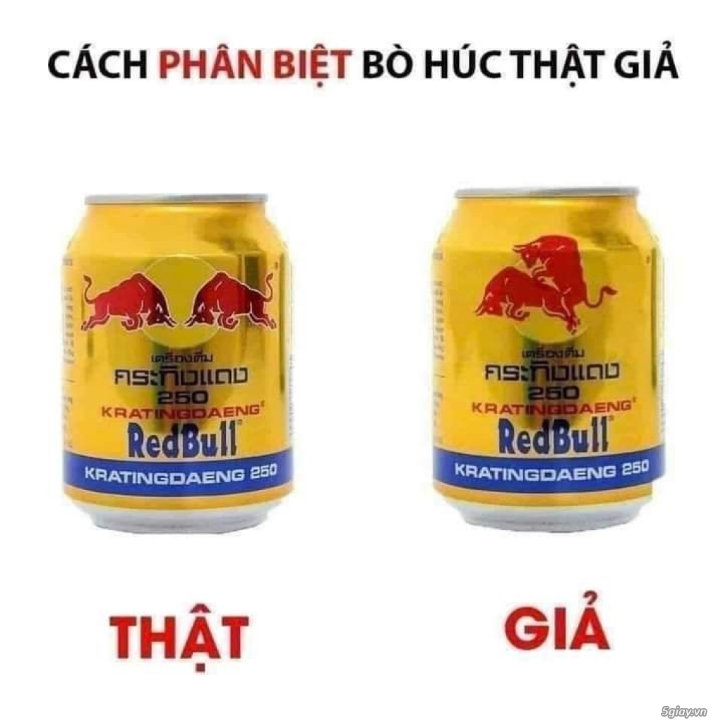 Hình hài hước... Nhiều thể loại vui nhôn