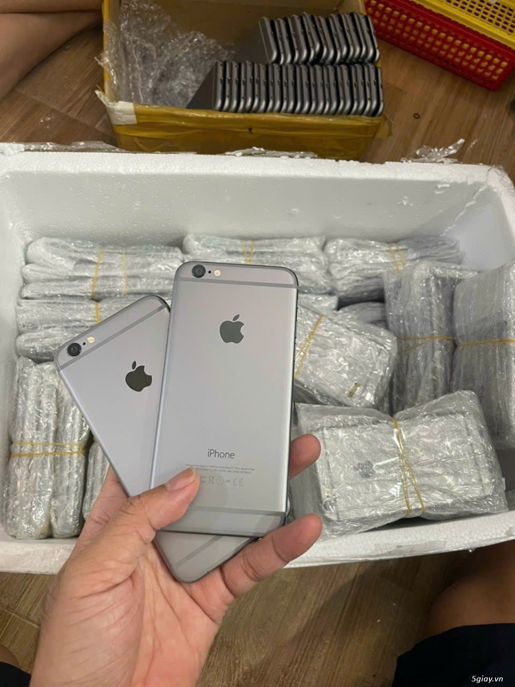 iPhone 5SE 32GB , 6G 32GB , Quốc Tế Zin mã VN FPT Giá Sỉ !!!!!!!