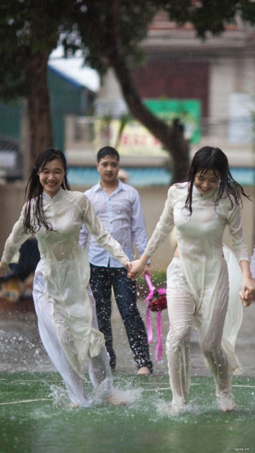 Những bức ảnh - Lịch sử - 1