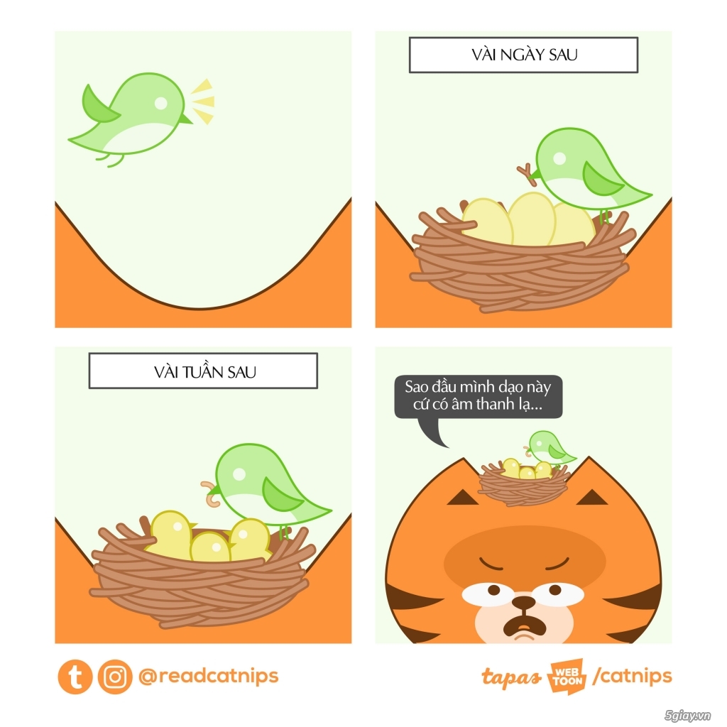 Hình hài hước... Nhiều thể loại vui nhôn - 4