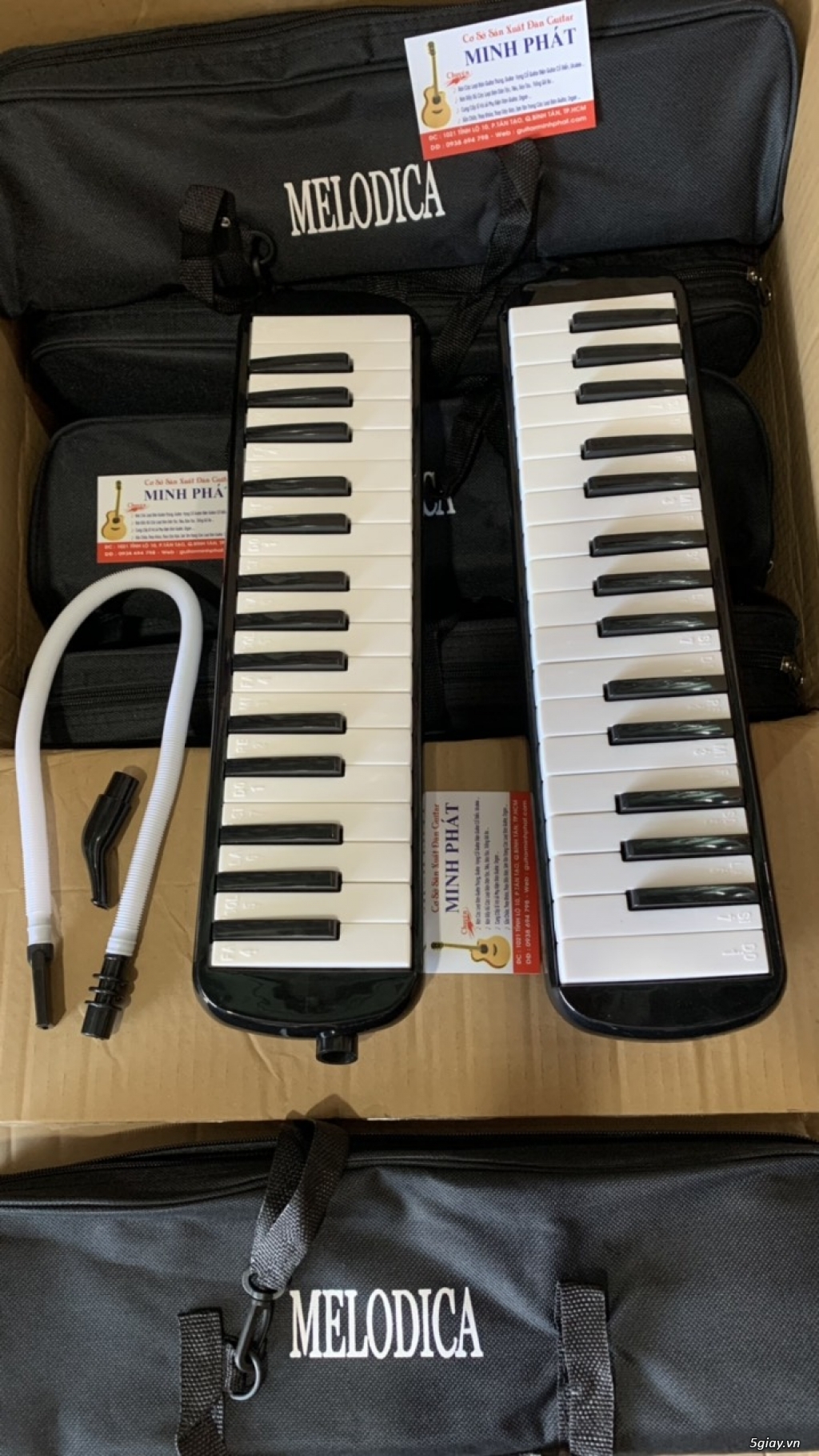 Nơi Bán Kèn Phím Melodica dành cho Học Sinh Giá Rẻ Chất Lượng TPHCM - 3