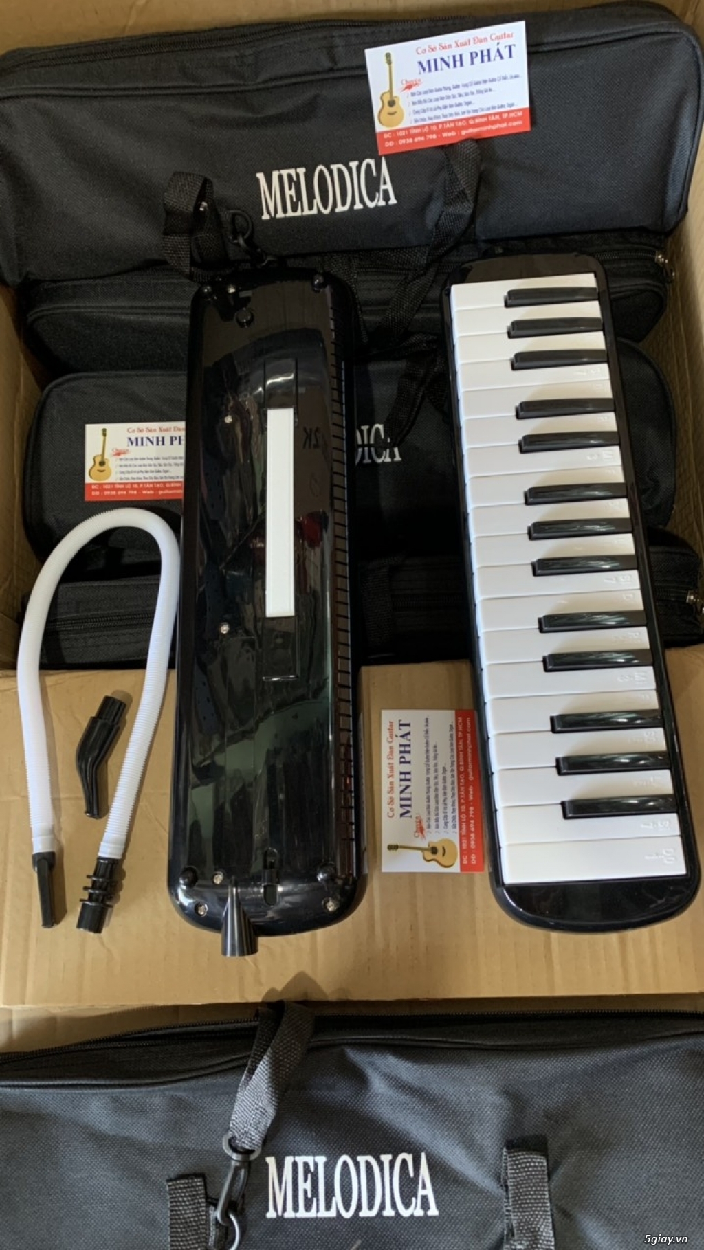 Nơi Bán Kèn Phím Melodica dành cho Học Sinh Giá Rẻ Chất Lượng TPHCM - 2