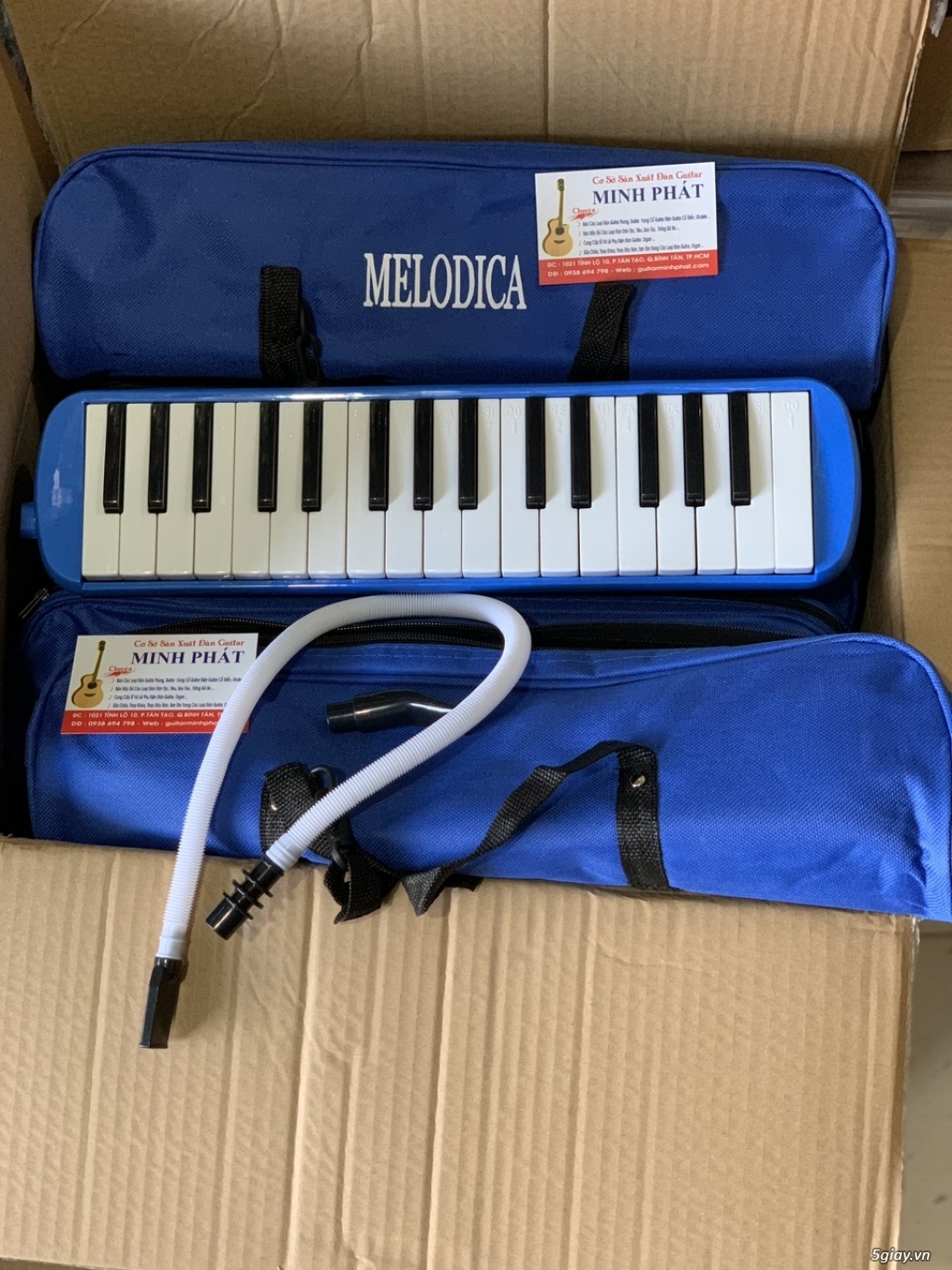 Nơi Bán Kèn Phím Melodica dành cho Học Sinh Giá Rẻ Chất Lượng TPHCM - 1