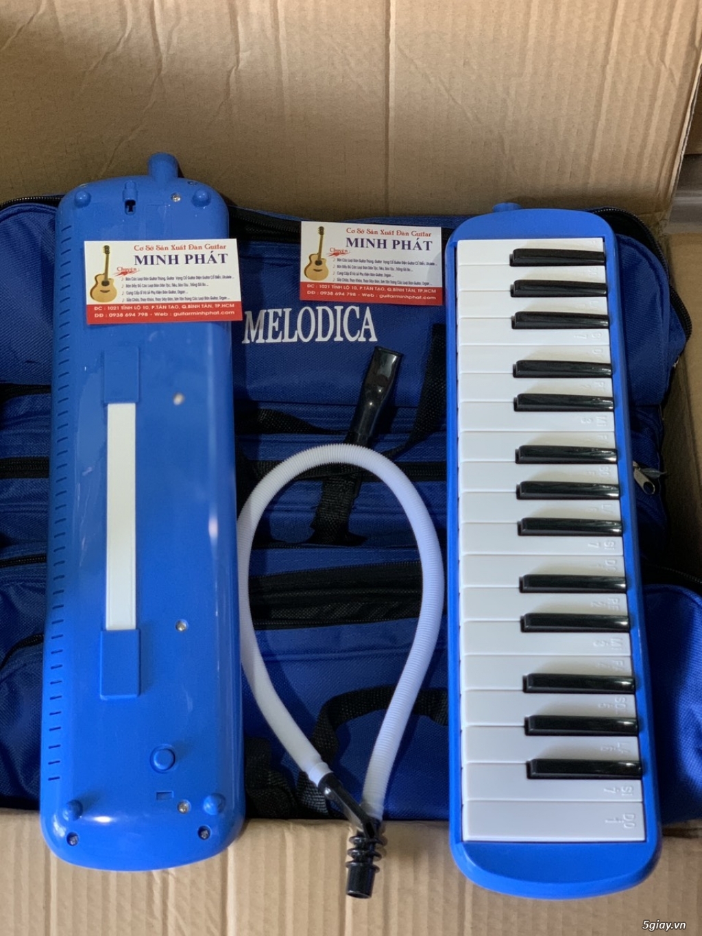 Nơi Bán Kèn Phím Melodica dành cho Học Sinh Giá Rẻ Chất Lượng TPHCM