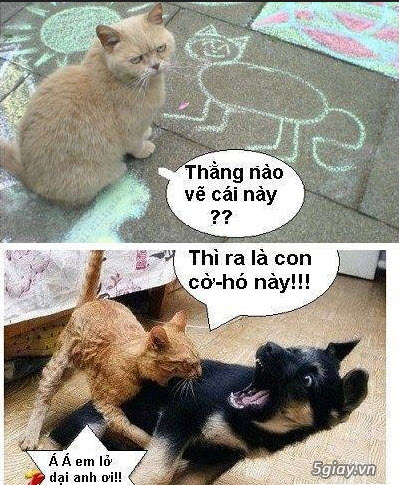 Hình hài hước... Nhiều thể loại vui nhôn - 1