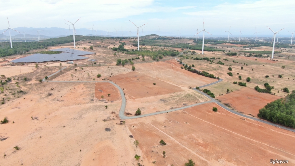 Bán nhanh 3900m2 đất Farm Tuy Phong sổ hồng riêng view biển Bình Thuận - 2