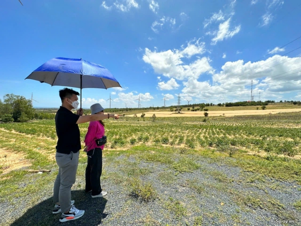 Bán nhanh 3900m2 đất Farm Tuy Phong sổ hồng riêng view biển Bình Thuận - 6