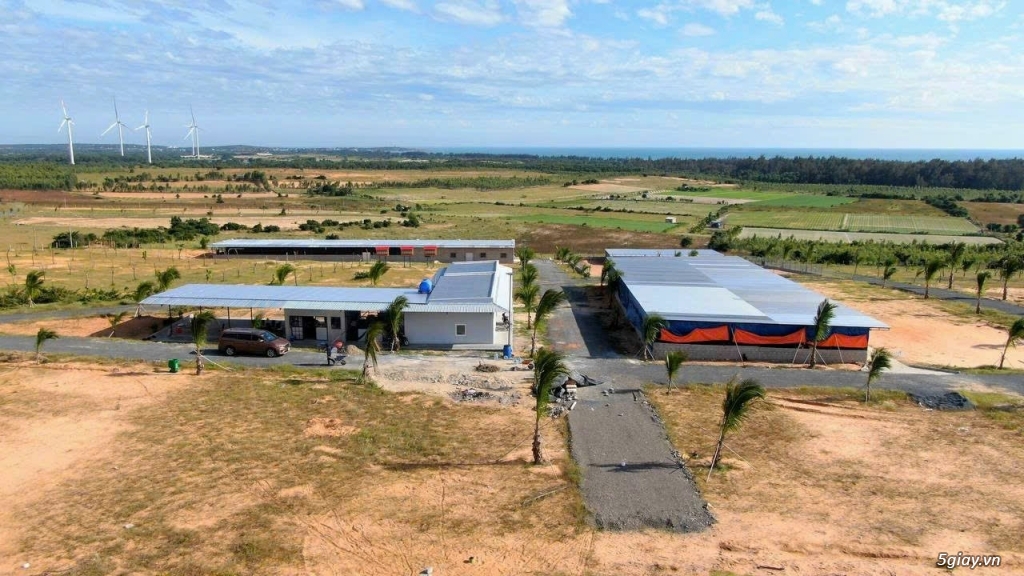 Bán nhanh 3900m2 đất Farm Tuy Phong sổ hồng riêng view biển Bình Thuận - 7