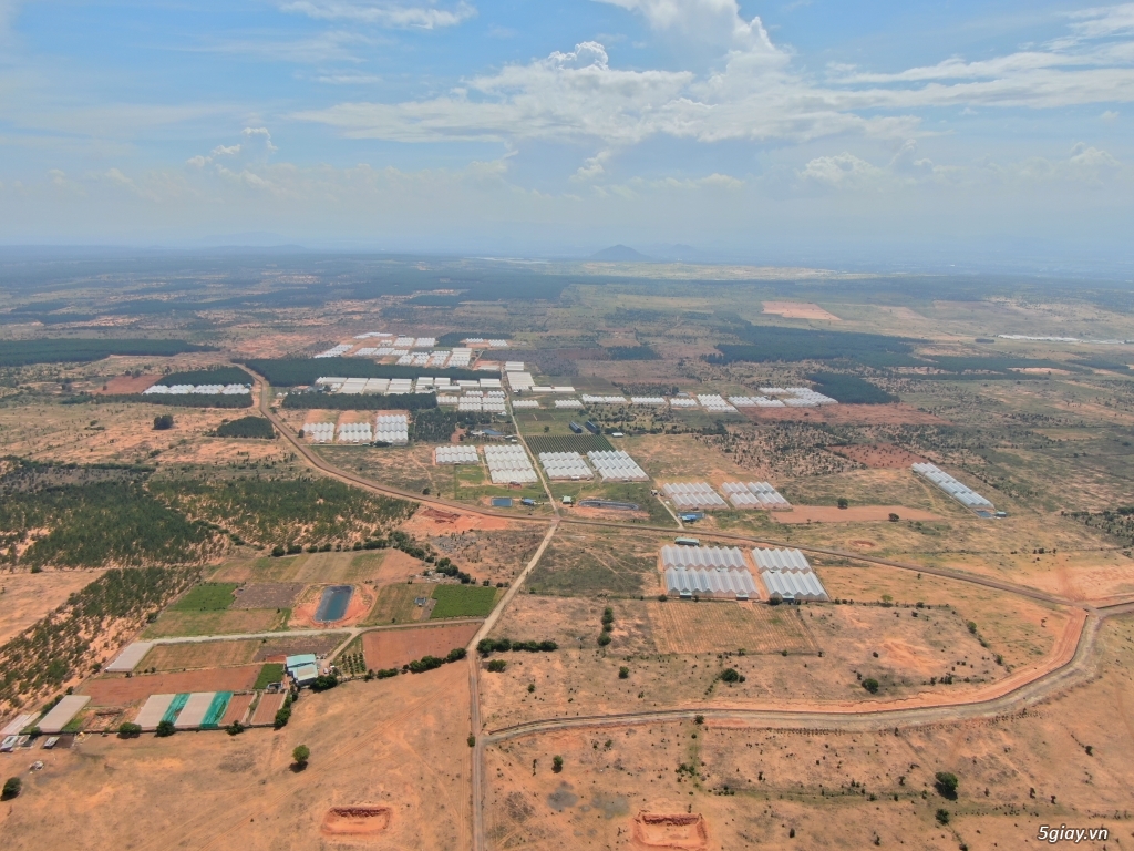 Bán nhanh 3900m2 đất Farm Tuy Phong sổ hồng riêng view biển Bình Thuận - 4