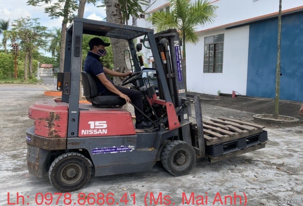 Đào tạo cấp chứng chỉ xe nâng, máy xúc, hàn, điện tại Hải Phòng - 1