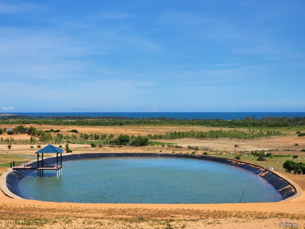7 sào đất view biển siêu đẹp giá hạt dẻ hổ trợ trả góp 0%LS - 2