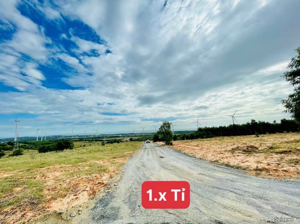 7 sào đất view biển siêu đẹp giá hạt dẻ hổ trợ trả góp 0%LS - 1