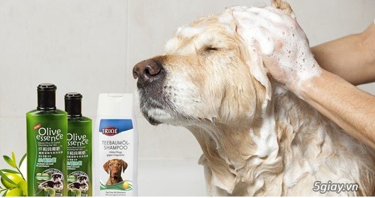 PETPSHOP _ CHUYÊN CUNG CẤP PHỤ KIỆN THÚ CƯNG UY TÍN