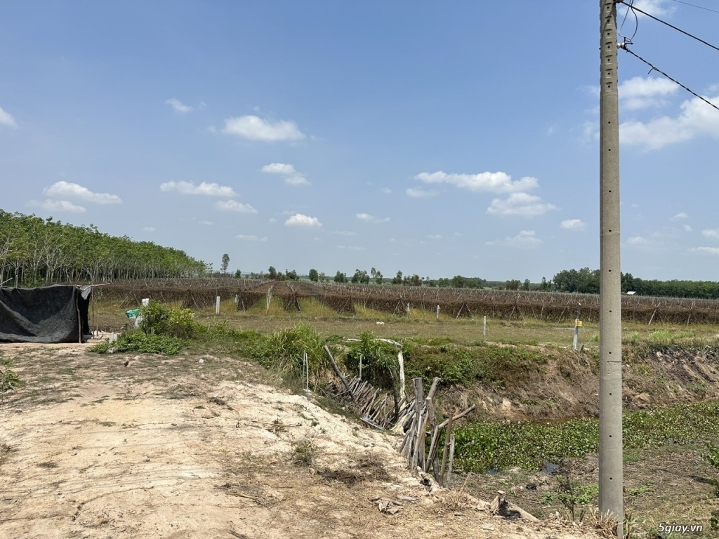 Bán lô đất mặt tiền đường nhựa xã Ninh Điền, H. Châu Thành, Tây Ninh - 4